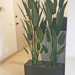 Trough Planters- with Bird-o-Paradise 1.5m tall   - artificial plants, flowers & trees - image 2
