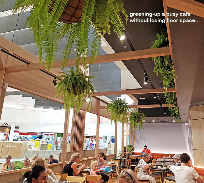 Greening-up a Cafe without losing floor space...