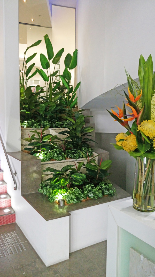 Foyer Revamp- smelly fountains to beautiful cascading gardens...