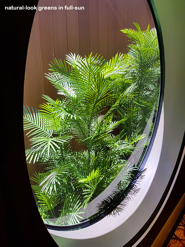 Tall UV-tolerant Palms fill void at Sports Club