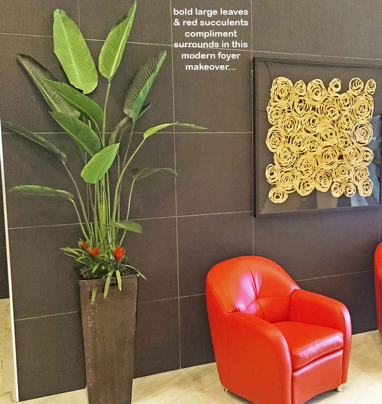 Plant revamp in Appartment Foyer