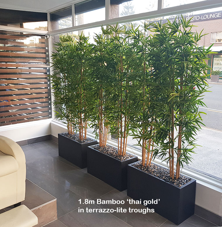 bamboo privacy screen
