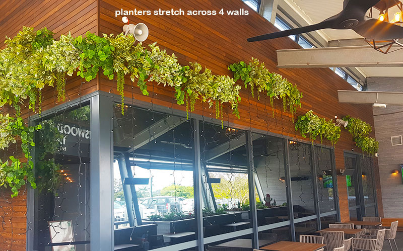 wall-planters brighten restaurant alfresco walls