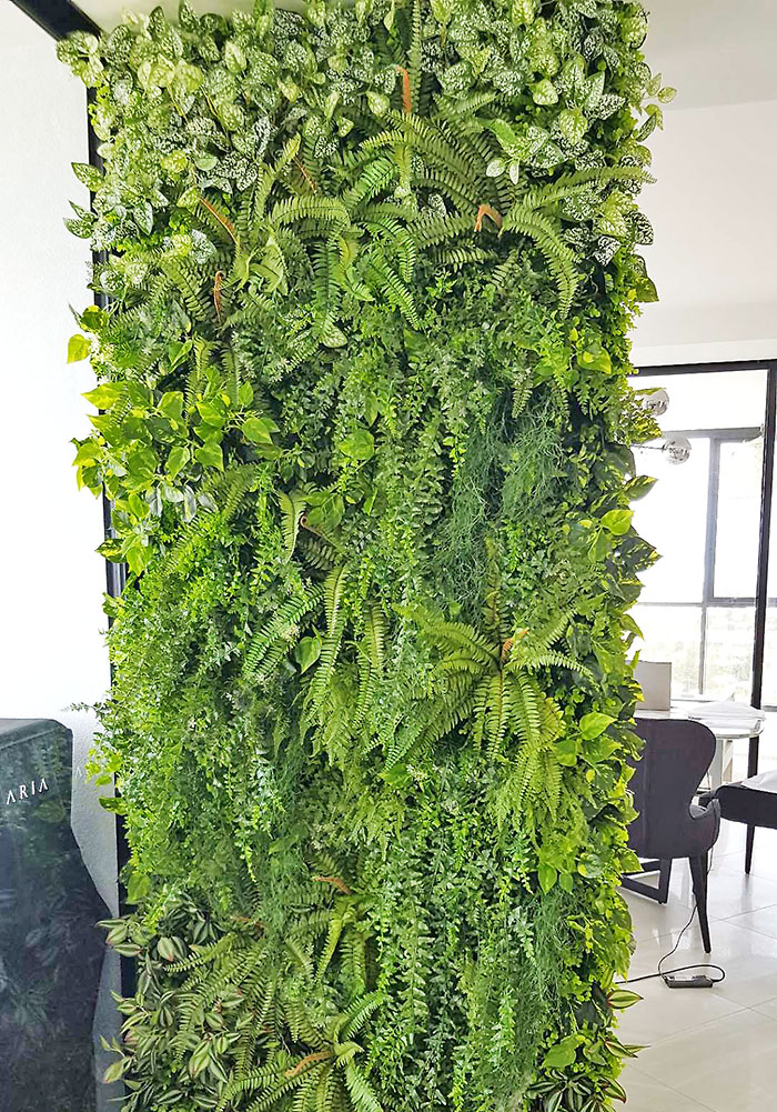 nice soft mixed ferns on partition screen
