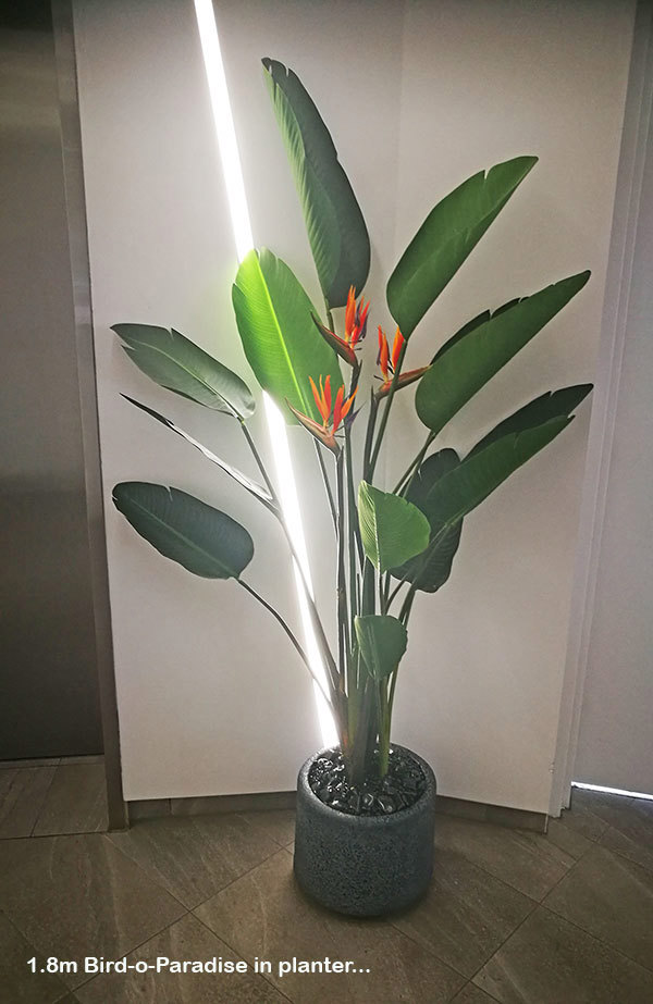 Hotels and Foyers Project Work