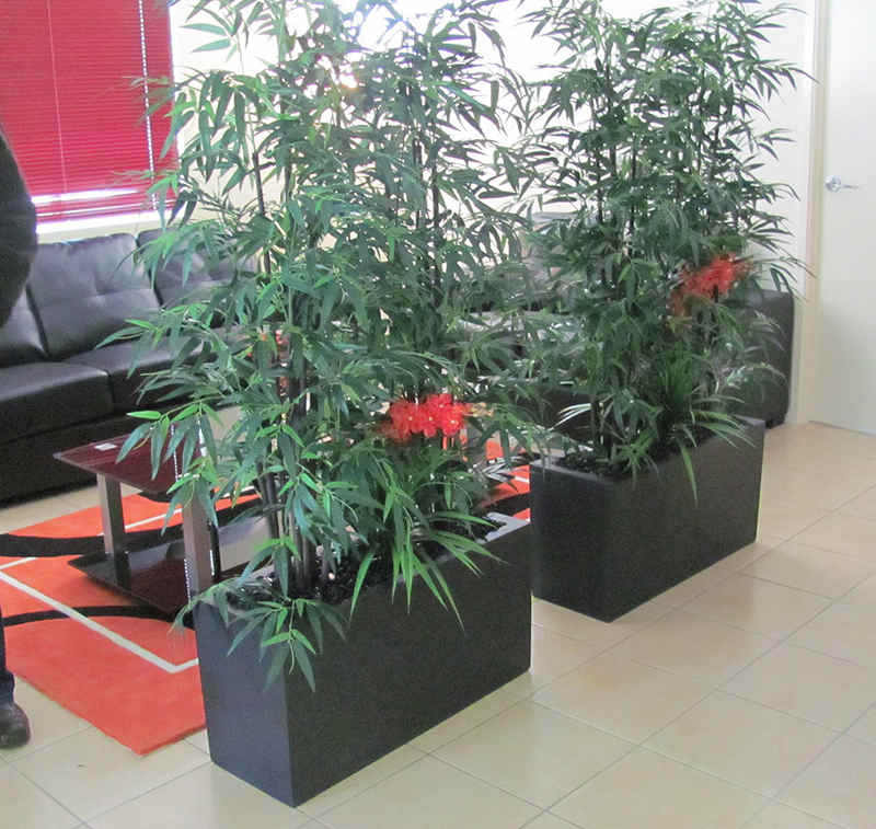 Planter-Box Settings- trough planters on floor