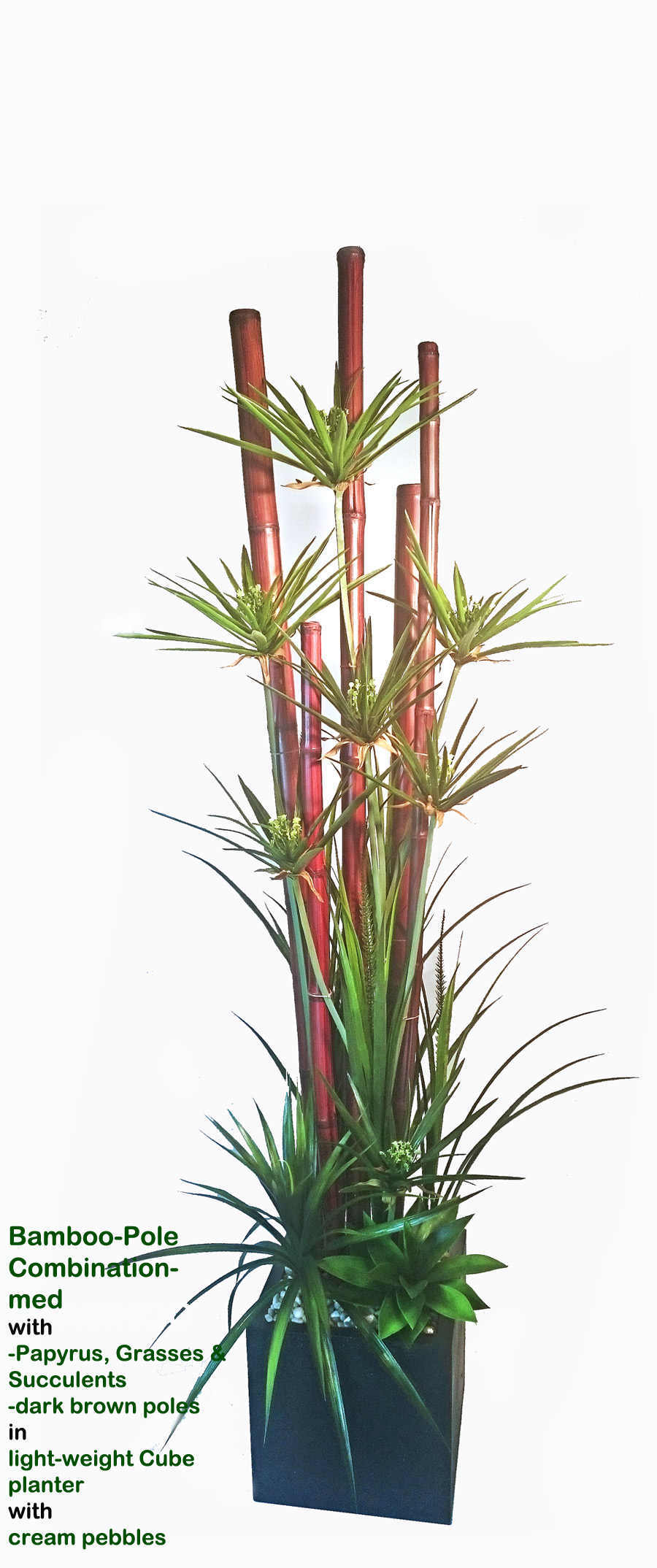 Bamboo-Pole Combination- 1.8M Papyrus in light-planter