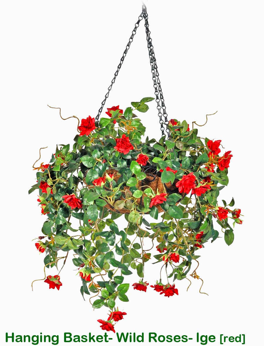 Hanging Baskets