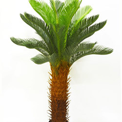 Cycas Palm 1.2m - artificial plants, flowers & trees - image 10