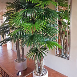 Fan Palm 2.4m [lge foliage] - artificial plants, flowers & trees - image 3