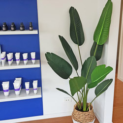 Heliconia Palms- 1.2m - artificial plants, flowers & trees - image 5