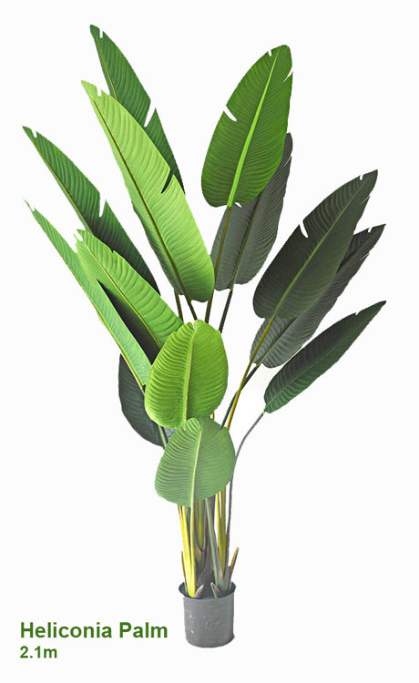 Articial Plants - Heliconia Palms- 2.1m