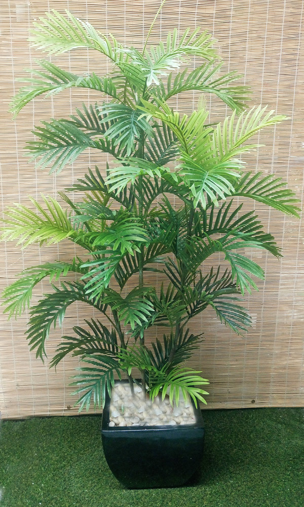 Packages- Parlour Palms 1.9m