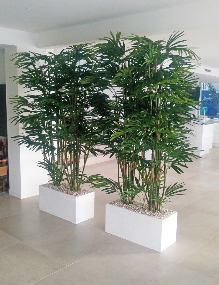 Trough Planters- with Rhapis-Palms 1.65m tall