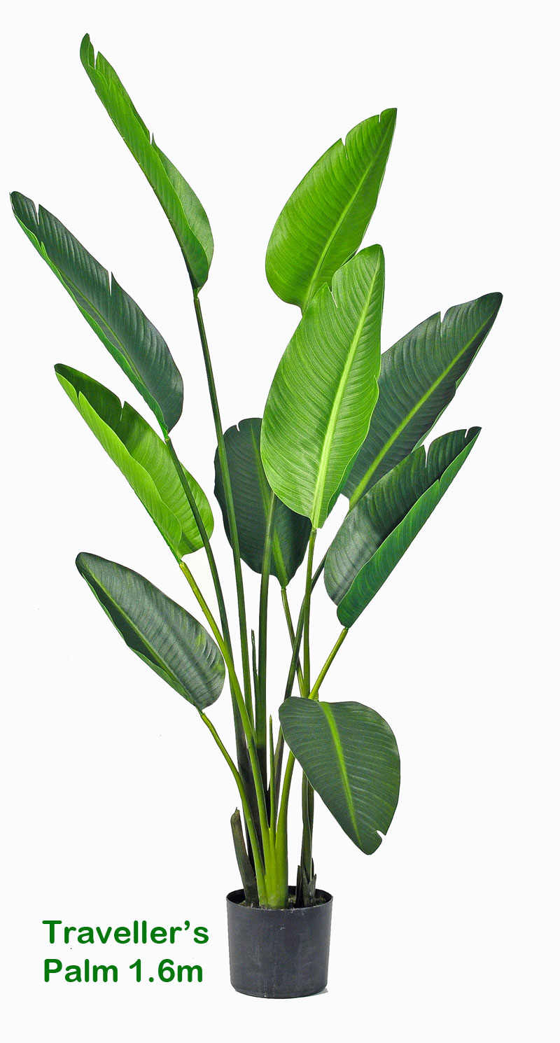 artificial travellers palm, fake travellers palm, artificial palm, fake