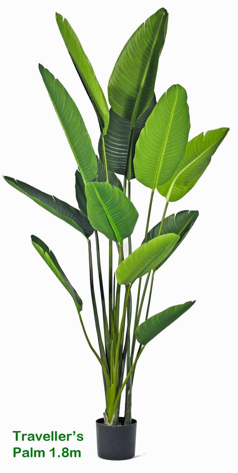 artificial travellers palm, fake travellers palm, artificial palm, fake