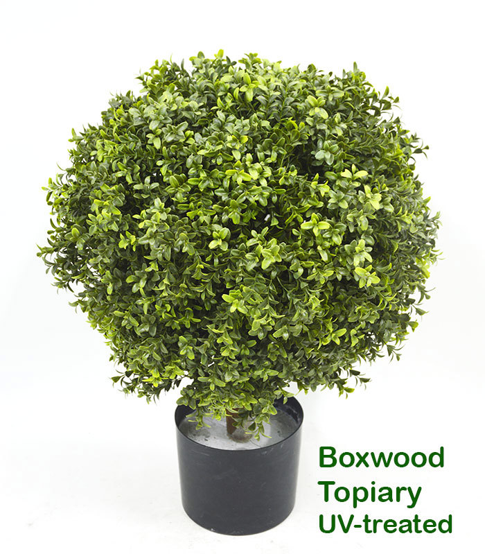 Boxwood Topiary 55cm UV-treated