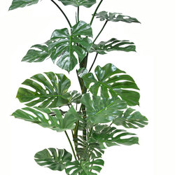 Monstera 'giant leaf' 1.9m deluxe - artificial plants, flowers & trees - image 10