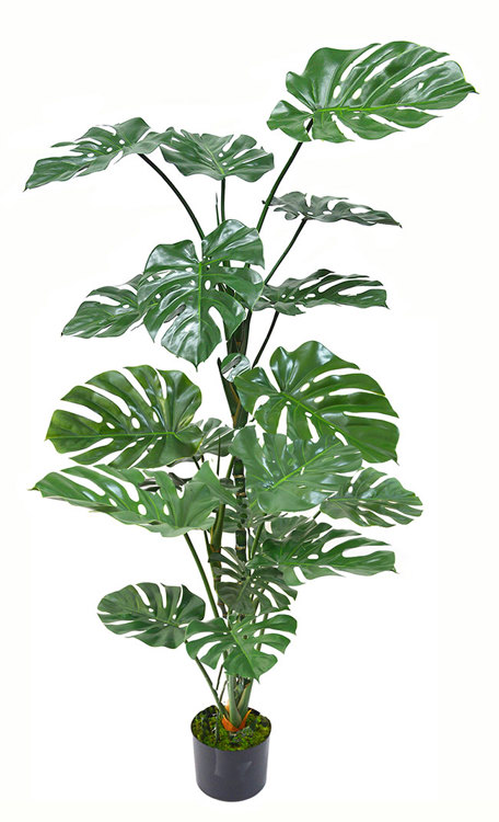 Articial Plants - Monstera 'giant leaf' 1.9m deluxe