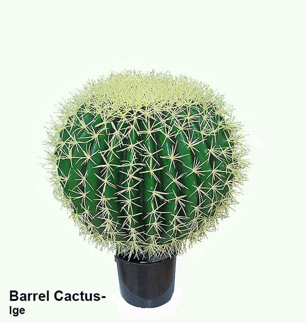 Articial Plants - Cactii- Barrel Cactus- lge