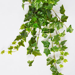 Ivy Bush- green - artificial plants, flowers & trees - image 2