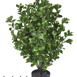 UV-Bush Lucky Jade 85cm dbl-planted - artificial plants, flowers & trees - image 9