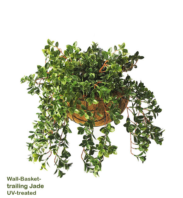 Articial Plants - Wall-Baskets Jade UV- sml