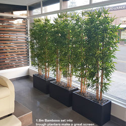 Bamboo 'thai gold' 1.8m - artificial plants, flowers & trees - image 2