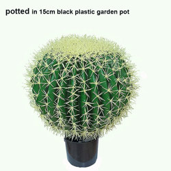 Cactii- Barrel Cactus- lge - artificial plants, flowers & trees - image 4