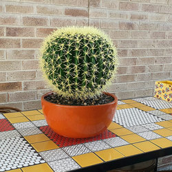 Cactii- Barrel Cactus- lge - artificial plants, flowers & trees - image 2