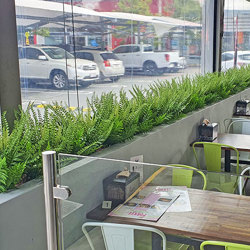 Button Fern UV-treated - artificial plants, flowers & trees - image 2