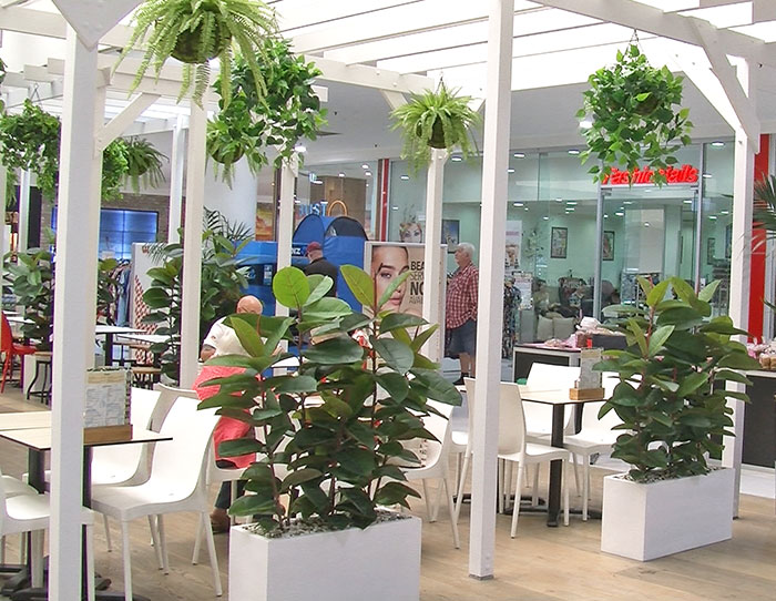 Cafe in Mall is a green oasis... image 5
