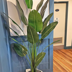 Heliconia Palms- 2.1m - artificial plants, flowers & trees - image 1