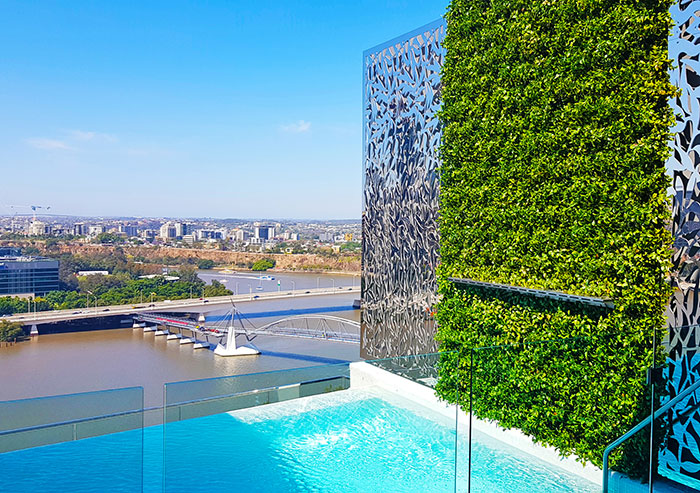 boxwood wall above penthouse pool