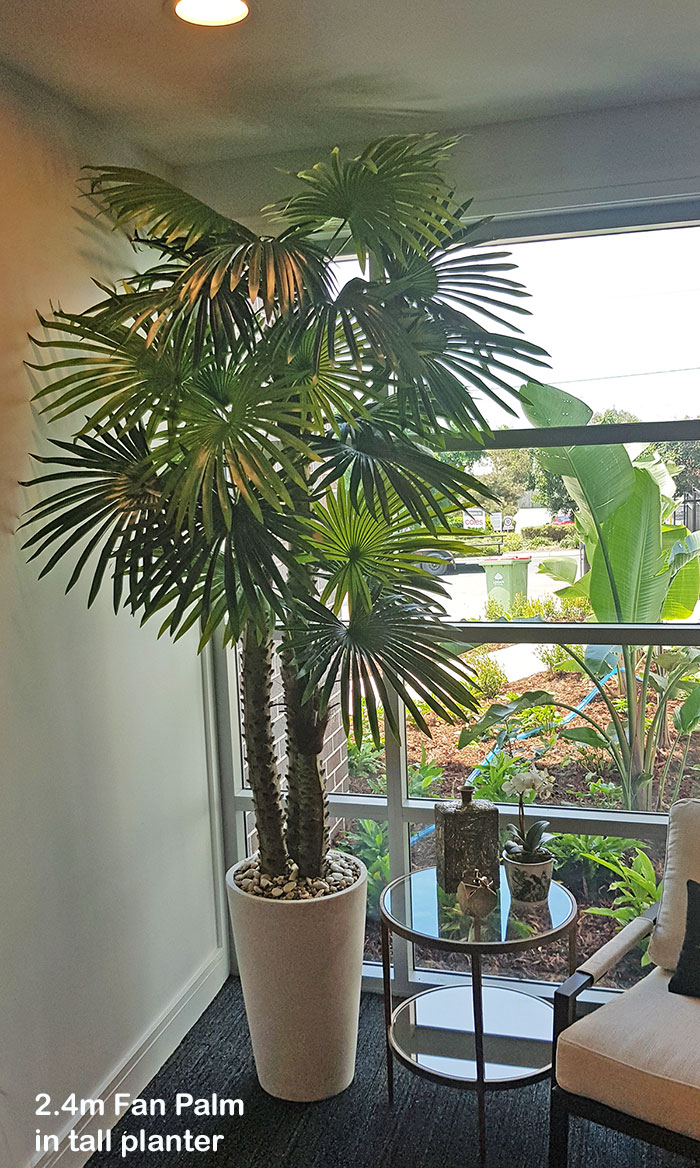 tall palm planter for high ceilings