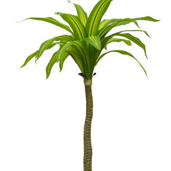 Happy Plant 1.9m quadruple-head - artificial plants, flowers & trees - image 6