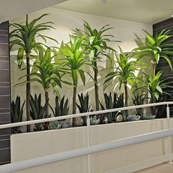Happy Plant 1.9m quadruple-head - artificial plants, flowers & trees - image 3