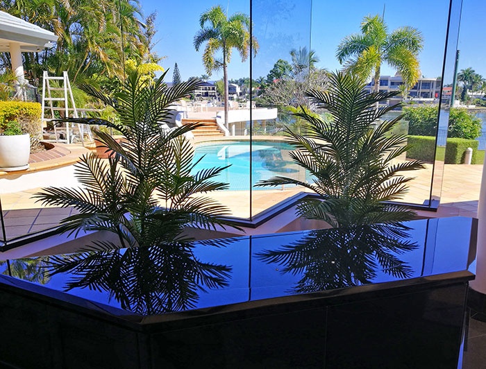 UV treated Palms for planter by sunny window image 6