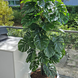 Monsterio UV-treated 1.5m - artificial plants, flowers & trees - image 1