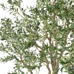 Giant Olive Tree- 2.7m tall - artificial plants, flowers & trees - image 3