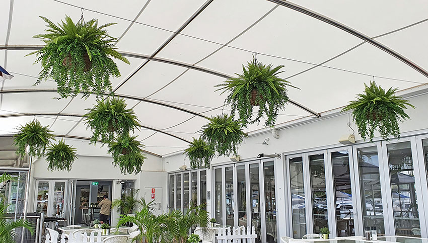 large ceiling with hanging-baskets