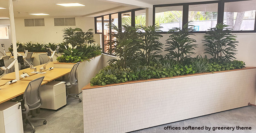 planter boxes define spaces in open offices