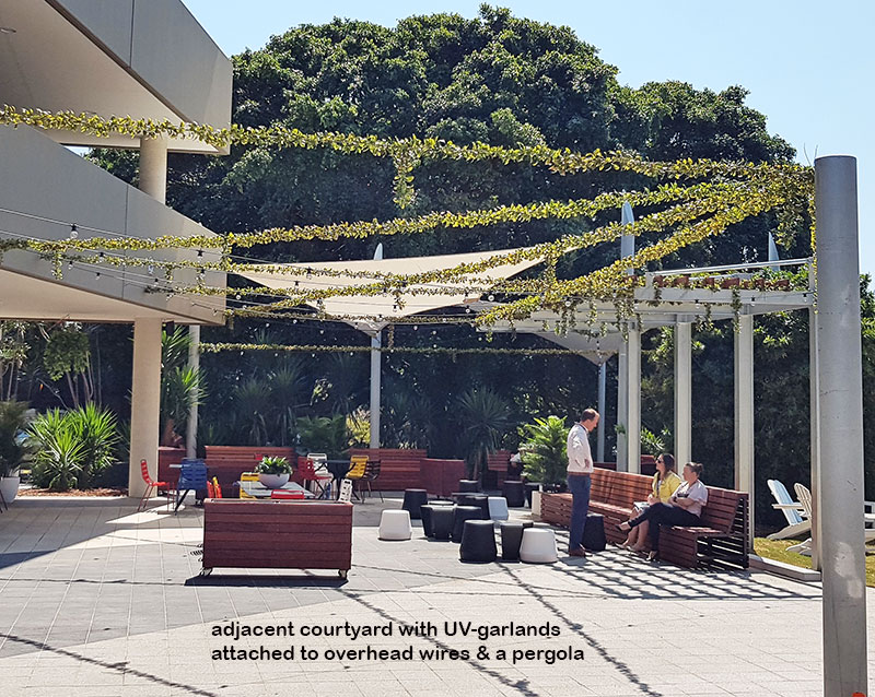 Full-Sun artificial Vines in exposed office complex courtyard... image 8