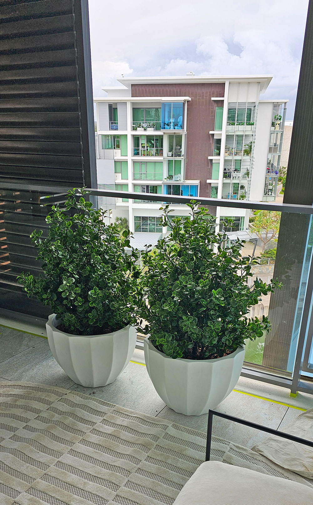 Lucky Jade planters provide sun-resistant privacy by balcony window 