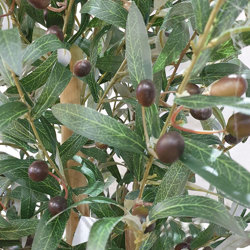 Olive Tree 1.8m - artificial plants, flowers & trees - image 2