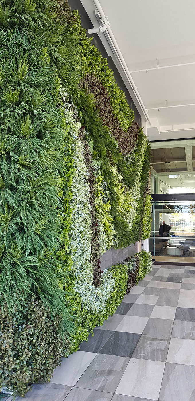 Large feature Green-Wall in apartment entry courtyard... image 9