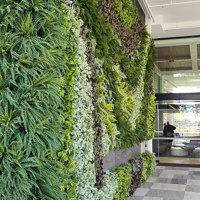Large feature Green-Wall in apartment entry courtyard... poplet image 8