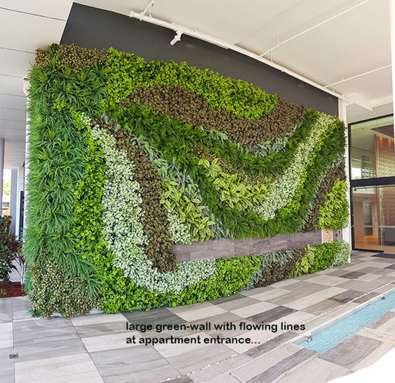 Large feature Green-Wall in apartment entry courtyard...