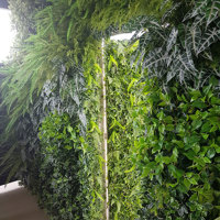 Artificial Green Walls installed over mixture of surfaces & angles to create a seamless flow... poplet image 9