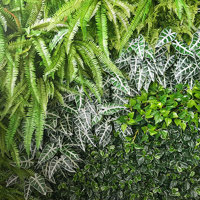 Artificial Green Walls installed over mixture of surfaces & angles to create a seamless flow... poplet image 8